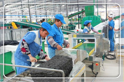 2021年適合農村開辦的小型加工廠項目 投資少、前景廣闊